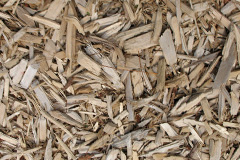 biomass boilers Henstridge Ash
